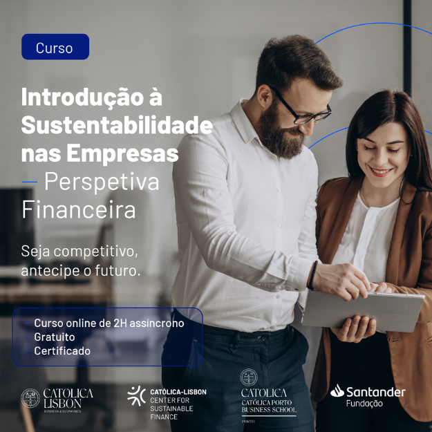 Introdução à Sustentabilidade nas Empresas – Perspetiva Financeira